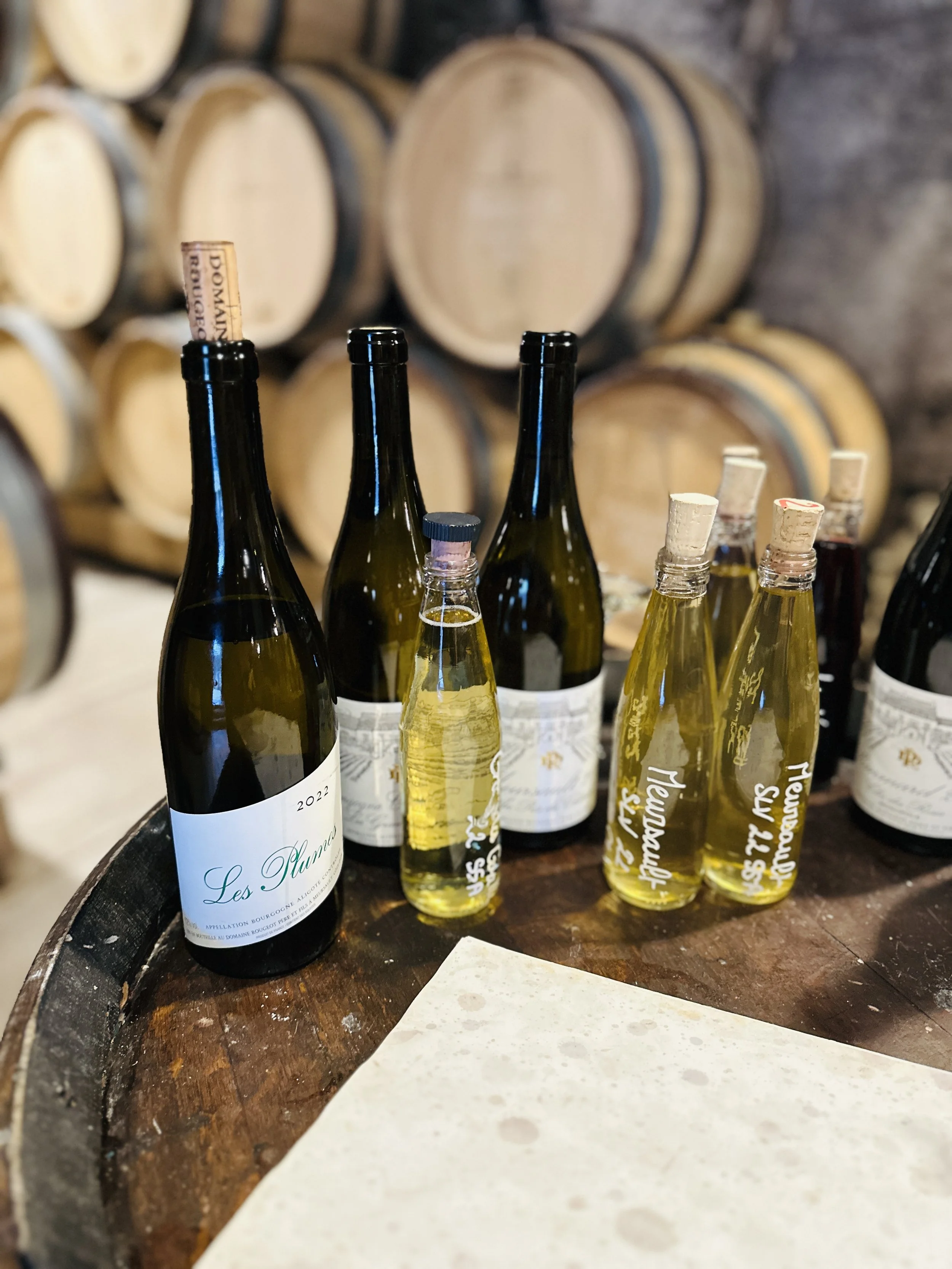 ワイン Domaine Rougeot Bourgogne Pinot Noir Domaine Rougeot 